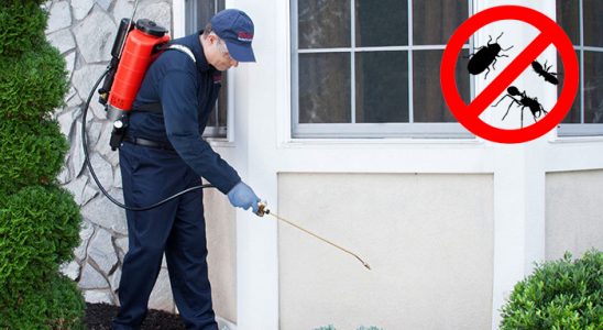 Kargı Haşere İlaçlama böcek ilaçlama ve haşere kontrolü — ilaclama-tr.com